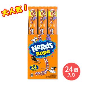 ナーズ ロープ グミ キャンディー スプーキー 26g  24個入り Nerds Rope Spooky Candy アメリカのお菓子 おやつ ASMR 咀嚼音 スイーツ 話題