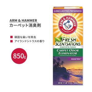 アームアンドハンマー カーペット消臭剤 アイランドシトラスの香り 850g (30 oz) ARM & HAMMER Carpet Odor Elimantor Island Mist｜womensfitness