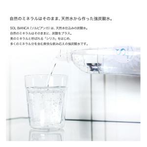 炭酸水 天然シリカ水 強炭酸水 ソルビアンカ ...の詳細画像2