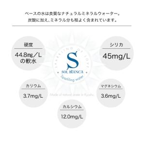 炭酸水 天然シリカ水 強炭酸水 ソルビアンカ ...の詳細画像3