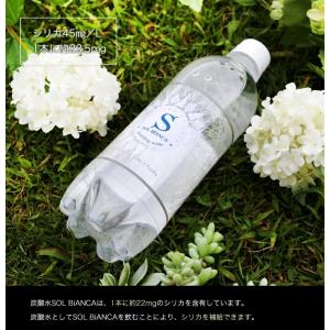炭酸水 天然シリカ水 強炭酸水 ソルビアンカ ...の詳細画像4