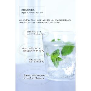 炭酸水 天然シリカ水 強炭酸水 ソルビアンカ ...の詳細画像5