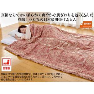 西川 アウトレット品 京都西川 真わたふとん 合掛け シルク100 西川 アウトレット品 京都西川 真わたふとん 合掛け シルク100