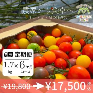 定期便 6ヶ月コース ミニトマトMIX1,7kg箱｜wonderfarm
