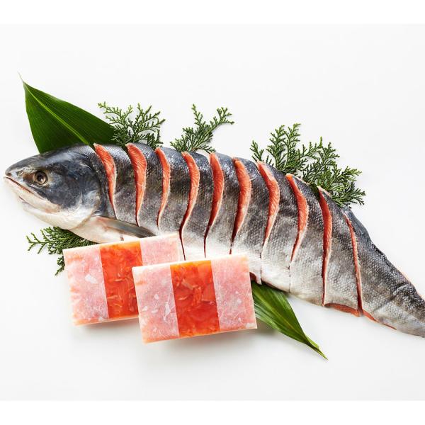 北海道産 新巻鮭&amp;鮭といくらのルイベ漬セット B 切身半身 700g・ルイベ漬 100g×2 