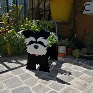 ウェルカムボード（ジャックラッセルテリア） : 犬種別犬雑貨わん