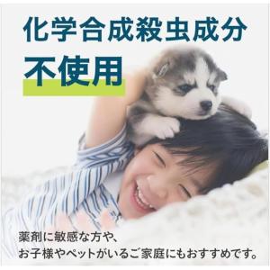 アース製薬 すっきりハッカ 180日用 500...の詳細画像3