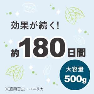 アース製薬 すっきりハッカ 180日用 500...の詳細画像4