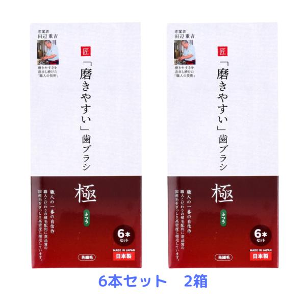 歯ブラシ職人 田辺重吉 磨きやすい歯ブラシ 極 ふつう 先細毛 6本 2箱セット LT-53