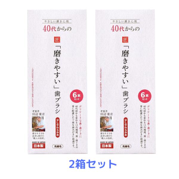 歯ブラシ職人 田辺重吉 40代からの 磨きやすい歯ブラシ 先細毛 少しやわらかめ 6本 2箱セット ...