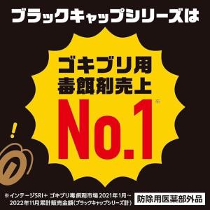 アース製薬 ブラックキャップ 12個入×2箱 ...の詳細画像1
