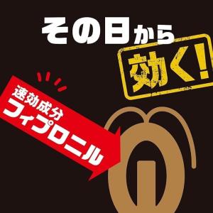 アース製薬 ブラックキャップ 12個入×2箱 ...の詳細画像2