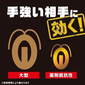 アース製薬 ブラックキャップ 12個入×2箱 ...の詳細画像3