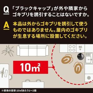 アース製薬 ブラックキャップ 12個入×2箱 ...の詳細画像4