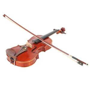 【超美品・良音】スズキ　バイオリン　エターナル　No.1100　4/4　☆5 No.1100 エターナルバイオリン | suzukiviolin