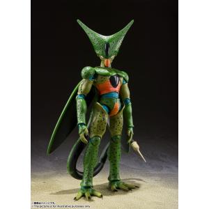 【予約】【9月再販分】S.H.Figuarts ...の商品画像