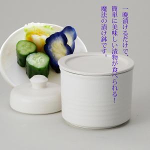 アラジンのボトル 信楽焼 焼酎 水 ボトル ラジウムボトル マイナス