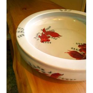 平魚缶 赤 水鉢 和モダン 陶器