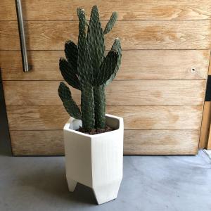 鉢カバー Eco Stone エコストーン 6号鉢用 グレー Glay 観葉植物