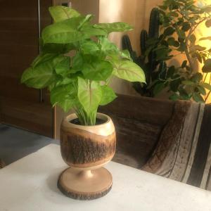 鉢 ポット ヘキサゴン 六角形 プランター 植木鉢 角型 おしゃれ 六角型