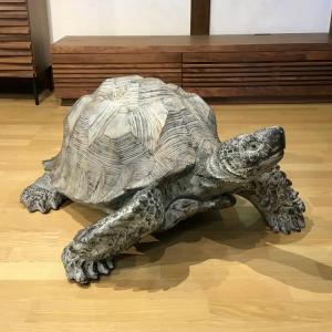 陶器 動物 鴨 置物 イタリア製 完成品 カルガモ マガモ アニマル