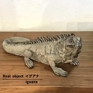 流木 大型サイズ インテリア オブジェ 爬虫類 小動物 登り木