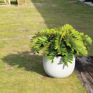 プランター 植木鉢 おしゃれ 鉢 鉢植え 軽量 シャビー ファイバーセメント製 ガーデニング 庭 ナチュラル ダークグレー ホワイト 穴あり 底穴あり 玄関前 5 4 5 手づくり家具 ウッドギャラリー樹 通販 Yahoo ショッピング