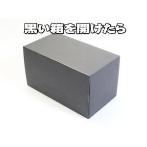 10束専用ケース入り なんちゃって札束 10束...の詳細画像1