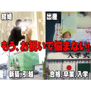 10束専用ケース入り なんちゃって札束 10束...の詳細画像4