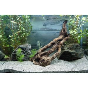 メダカ 水槽用流木 の商品一覧 レイアウト用品 熱帯魚 アクアリウム用品 ペット用品 生き物 通販 Yahoo ショッピング