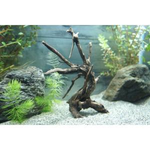 水草 メダカ 水槽用流木 の商品一覧 レイアウト用品 熱帯魚 アクアリウム用品 ペット用品 生き物 通販 Yahoo ショッピング