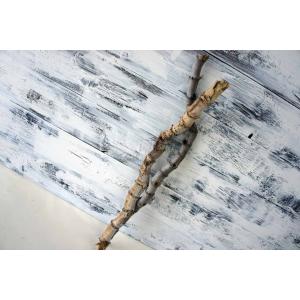 流木2本セット 楽天市場】流木 セットの通販