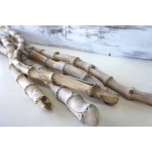 リベラ ウッドサージXL 流木 1個 ※アクぬき処理済み 約60〜80cm : 有限