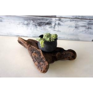 インテリア オブジェ 流木 おしゃれ 置物 玄関 雑貨 リビング 室内装飾