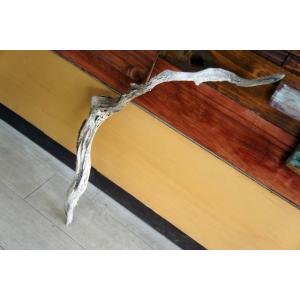 コンクリート盆栽 流木オブジェ】ディスプレイ 什器 アクセサリー