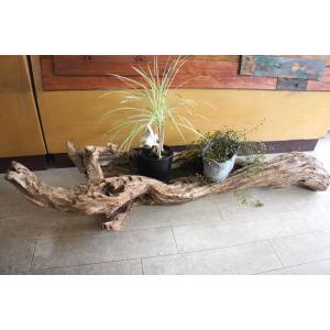 流木アートの商品一覧 通販 Yahoo ショッピング