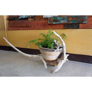 インテリア 流木 おしゃれ ナチュラル 雑貨 オブジェ 置物 観葉植物