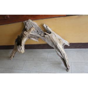 流木 大型サイズ インテリア オブジェ 爬虫類 小動物 登り木