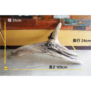 流木 大型サイズ インテリア オブジェ 爬虫類...の詳細画像1