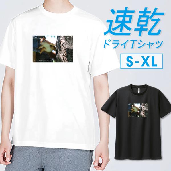 Tシャツ ドライTシャツ 速乾 吸汗 スポーツ ホワイト ブラック リス おもしろい 写真 高画質 ...