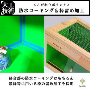 強固な爬虫類「引き出しケージ」120×60×6...の詳細画像3