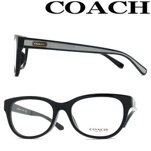 Ray-Ban（レイバン） RayBan メガネフレーム ブランド ブラック