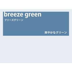 カラーレンズ ブリーズグリーン グラデーション LENS-BZGN-G : WOODNET