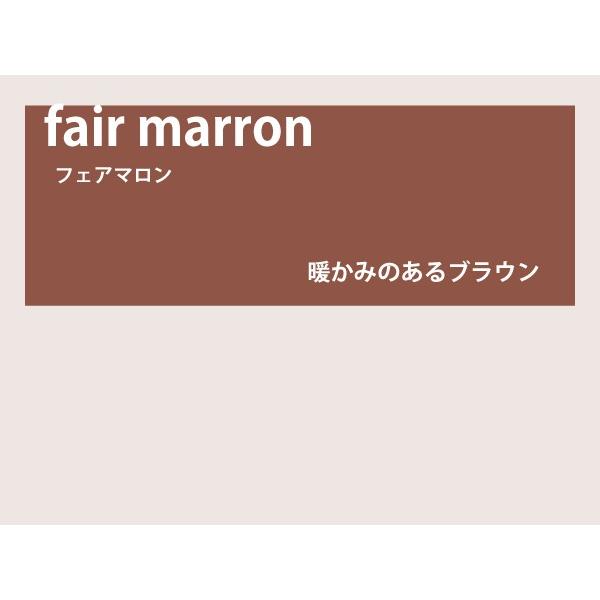 カラーレンズ フェアマロン グラデーション LENS-FAMN-G