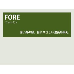 カラーレンズ フォレスト グラデーション LENS-FORE-G : WOODNET