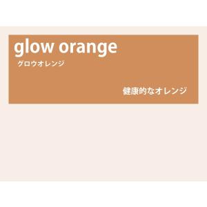 カラーレンズ グロウオレンジ グラデーション LENS-GLOR-G : WOODNET
