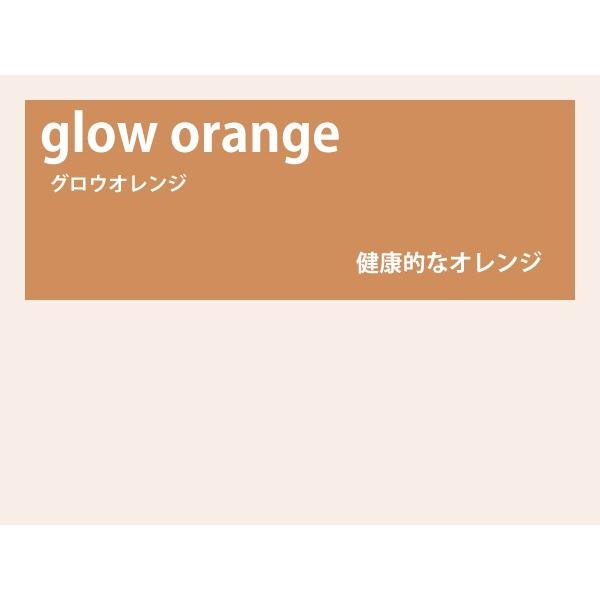 カラーレンズ グロウオレンジ グラデーション LENS-GLOR-G