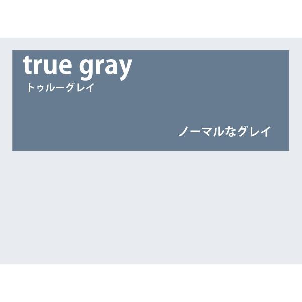 カラーレンズ トゥルーグレイ フルカラー LENS-TRGY-Ｆ