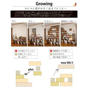 「SUGI-インテリア」つんどくボックス A4...の詳細画像4