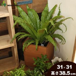 スクエアプランターＭサイズ（2段） 幅310ｍｍ×奥行310ｍｍ×高さ385ｍｍ 爆買